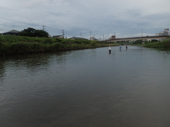 近所の厨坊もやってきた。夏休みの宿題終わったんか。