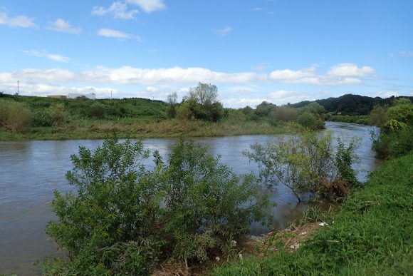 福島県阿武隈川。この美しい大河の全流域で2011年の原発事故以降、釣りができない。川から人が離れていく。