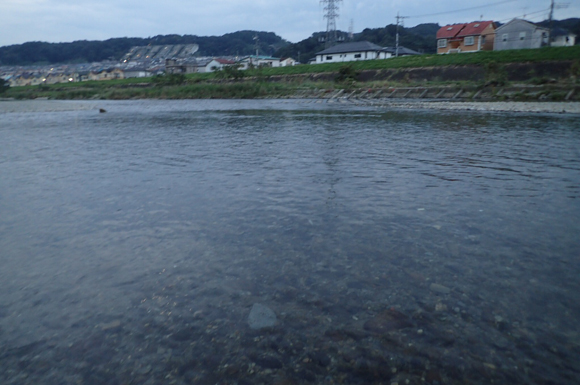 今日は水面直下で牧浩之氏カラスのソフトハックルをナチュラルドリフトさせるのがよかった。明日はどうだろう。