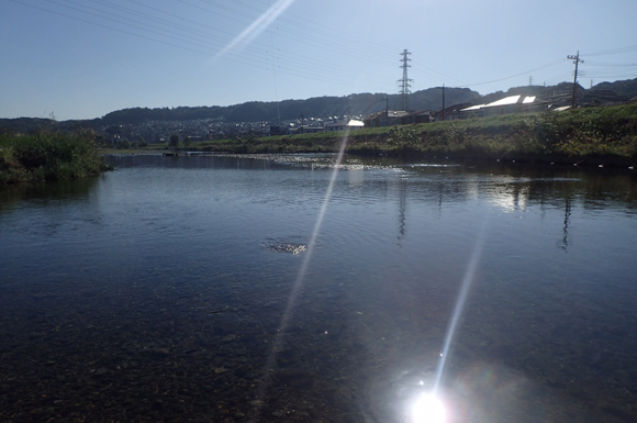 さいきんはもう瀬にいなくなってきた。