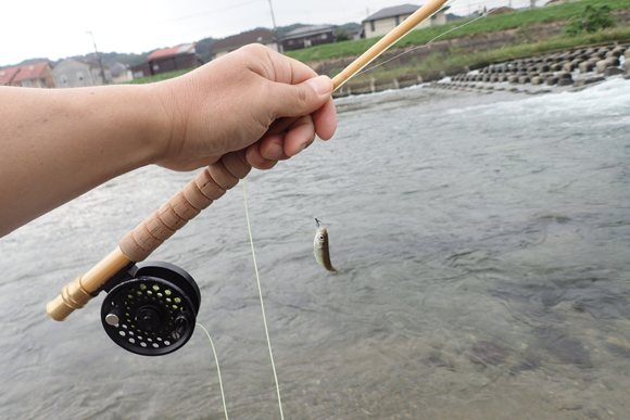 羽舟さん作の浅川竿はすさまじい竿だ。釣っても釣っても釣りたくなる。