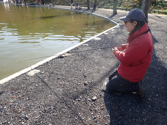 今日も桂川の井上さんと一緒。はっきり言って今日もルアーもフライもぜんぶ合わせた中で、井上さんが圧倒的にいちばん数を釣っていた。呆れるくらい。ひざまづいているのはあやしいお祈りとかじゃなくて、ラインとロッドティップを一直線にしてアタリをとるにはこの姿勢がちょうどいいから。膝あて用のクッションまで持ち込んでいるのはさすがという他ない。井上さんの釣り方は独特なのでくわしく知りたい方は上州屋八王子店さんのフライ担当の方に聞いてみてください。（と、スイッチキャスト）