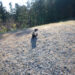 サクラマスは釣れなかった。ねこが見ていた。